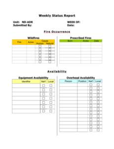 Costum Army Daily Status Report Template Pdf