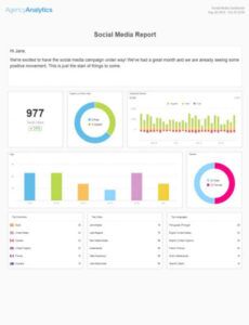 Editable Annual Social Media Report Template  Sample