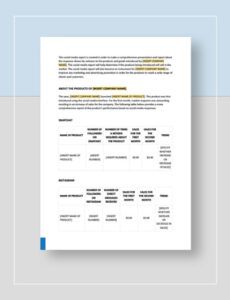 Free Annual Social Media Report Template Doc Sample