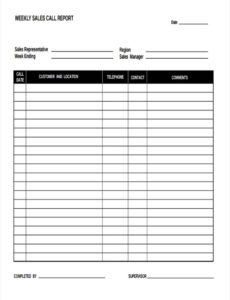 Professional Call Center Weekly Report Template Doc