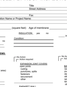 Professional Commercial Roof Inspection Report Template Pdf Sample