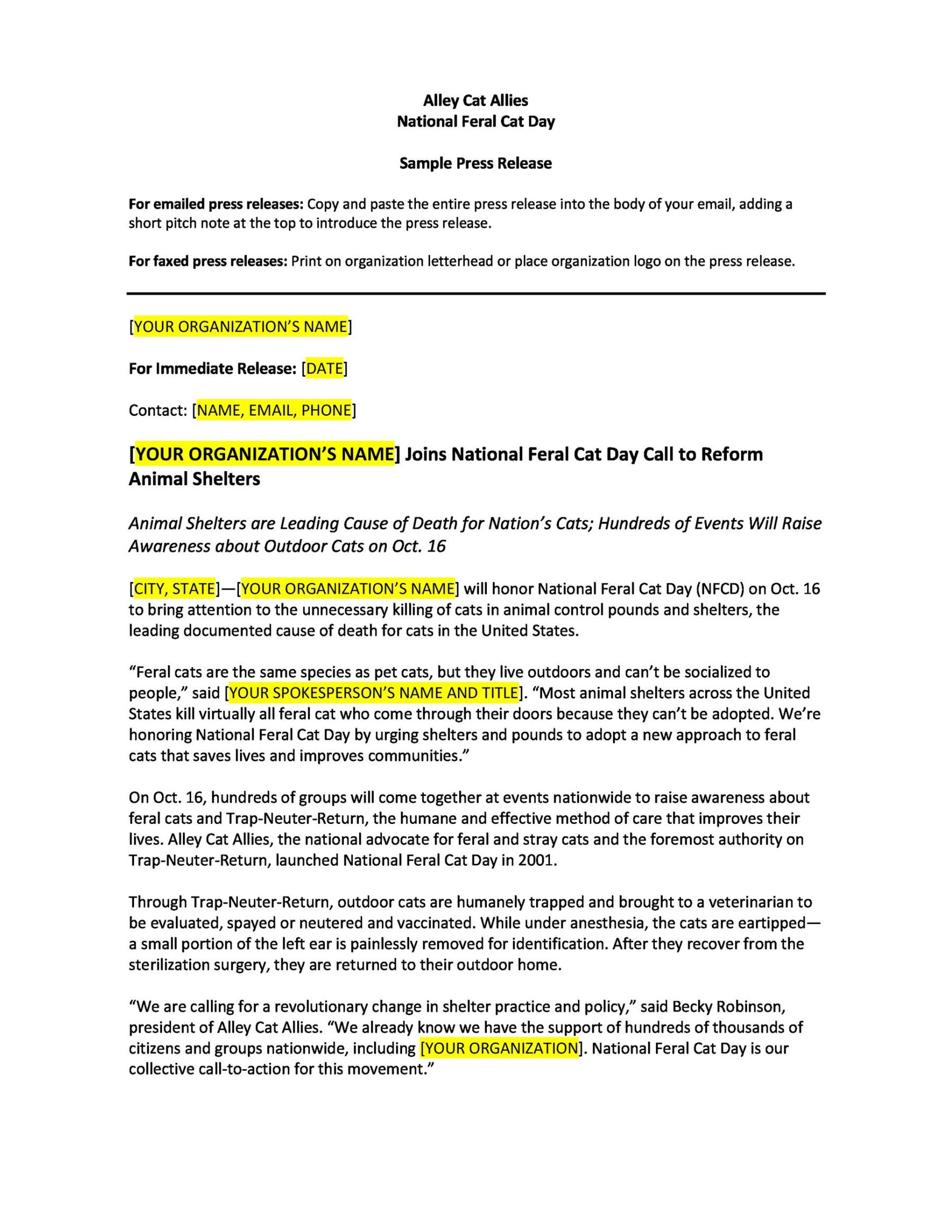 Company Anniversary Press Release Template Pdf