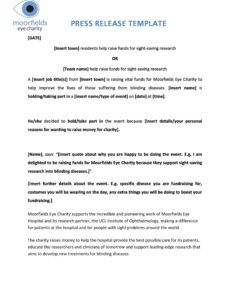 Free Company Launch Press Release Template  Sample