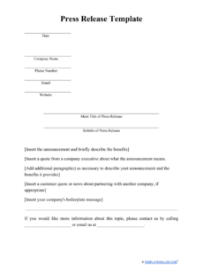 New Book Press Release Template Doc Example