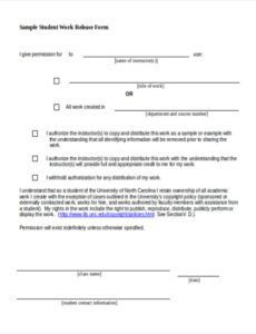 Professional Doctor Work Release Form Template Excel Sample