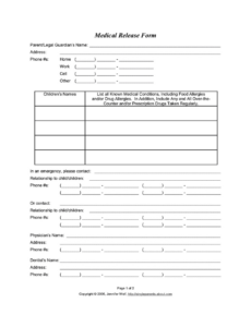 Professional Grandparents Medical Release Form Template Excel Example