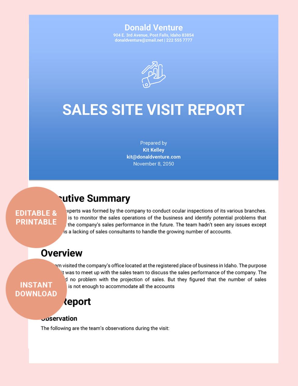 Printable Supplier Site Visit Report Template Doc
